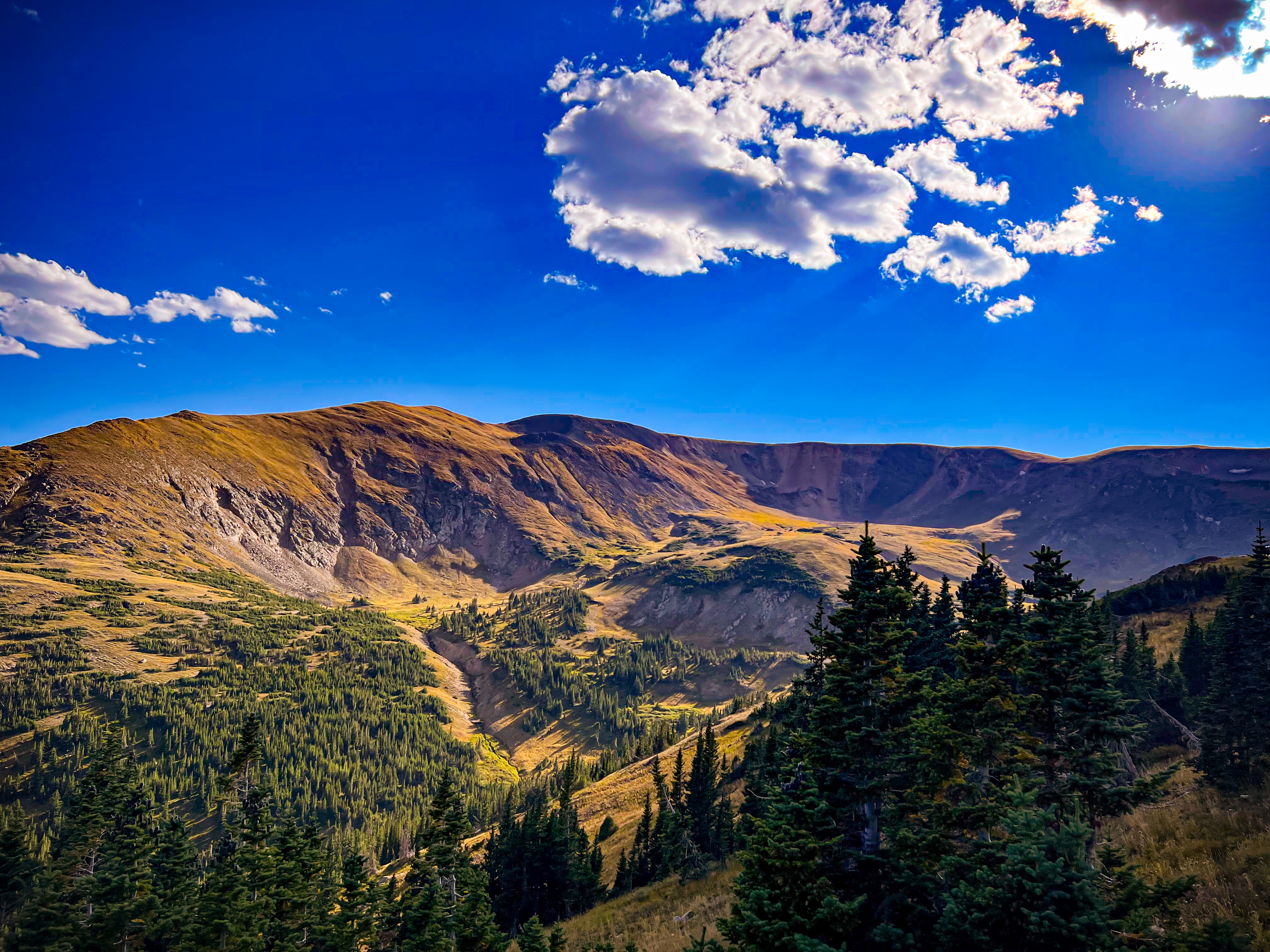 Looking for Opportunities to Serve